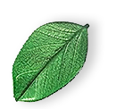 floating_leaf_01 https://impecclean.co.uk/wp-content/uploads/2025/07/floating_leaf_01.png